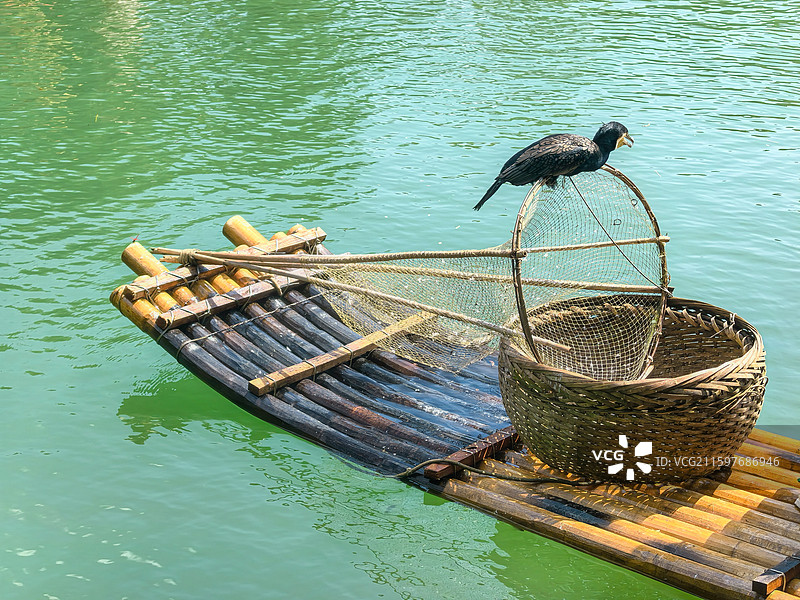 竹筏上的鱼鹰鸬鹚图片素材