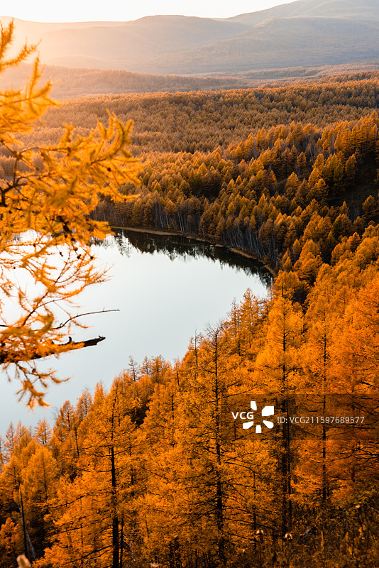 小学课本中的大兴安岭秋天图片素材