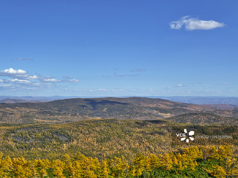 呼伦贝尔宝格偃松岭图片素材