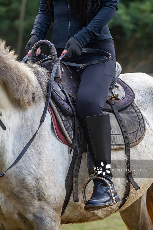 四川省绵阳市户外养殖的马，战马，骏马，军马，马匹，骑马图片素材