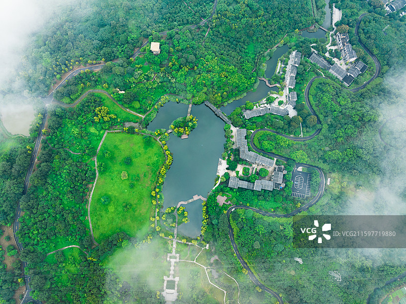 云雾中的张坝桂圆林风景区图片素材