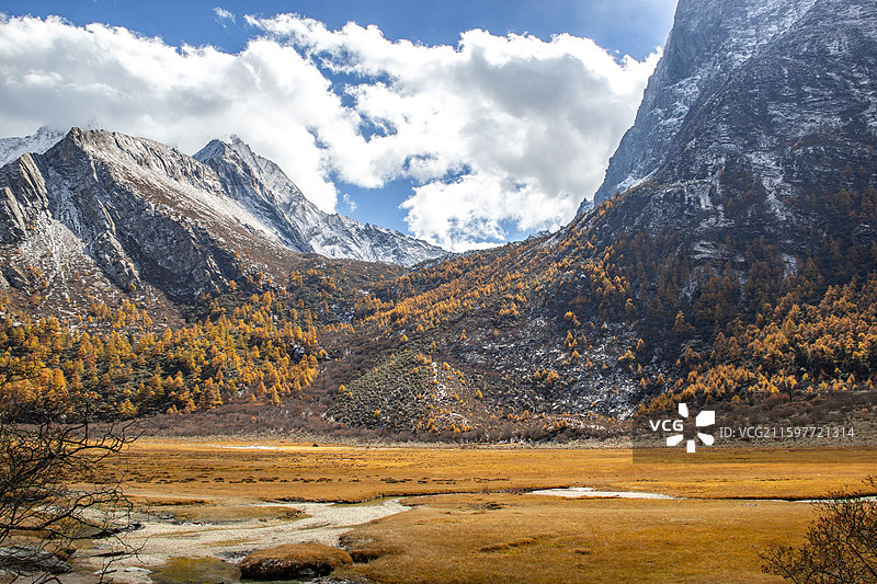 四川甘孜稻城亚丁 雪山峡谷中平坦草甸和山坡森林图片素材