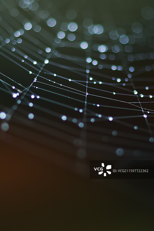 水珠水滴特写背景图片素材