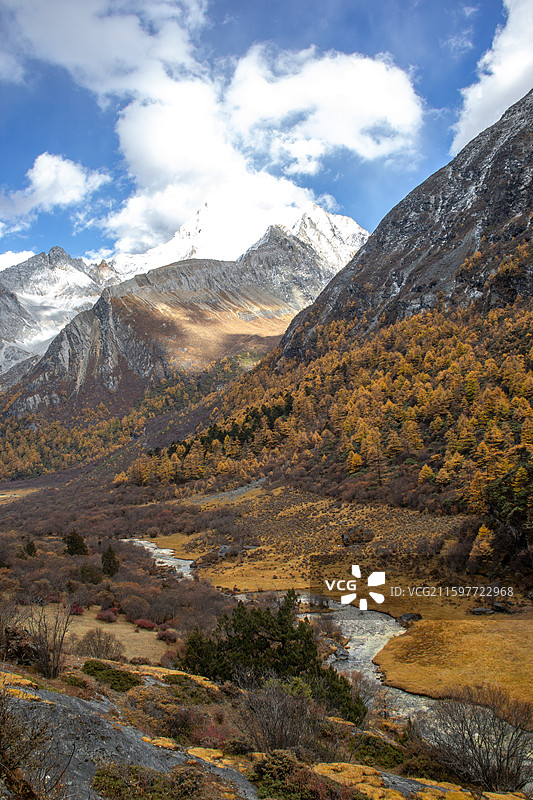 四川甘孜稻城亚丁 高处全景俯瞰 雪山森林和峡谷草甸河流图片素材