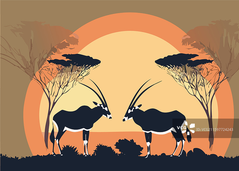 羚羊在草原上图片素材