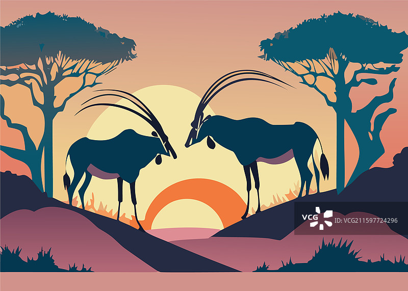 夕阳下的草原羚羊，长着角的鹿图片素材