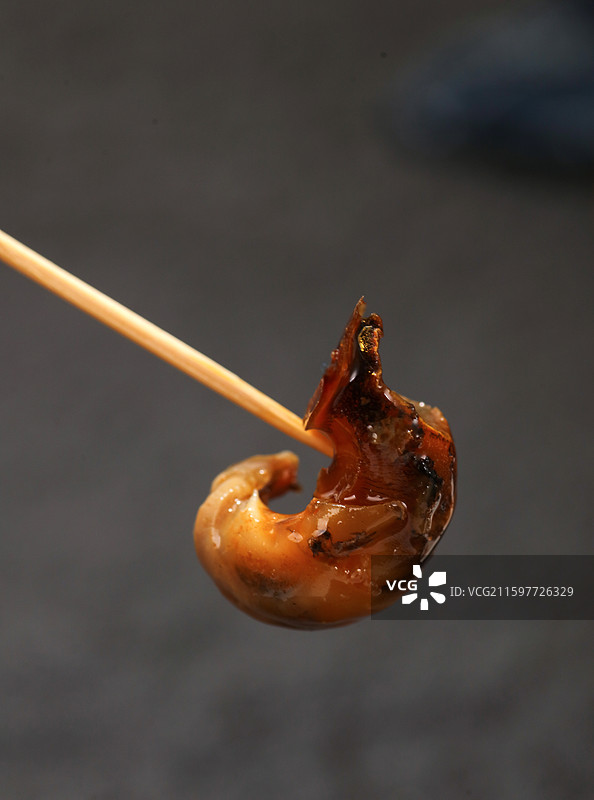 鱿鱼特写图片素材