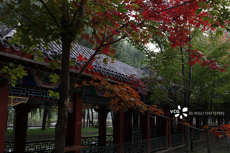 吉林北山公园，红叶，湖，九龙山，图片素材