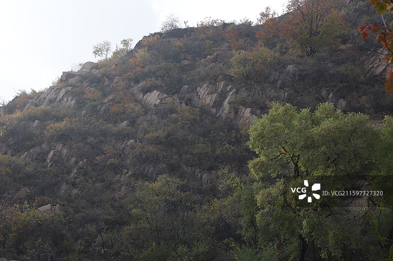 吉林北山公园，红叶，湖，九龙山，图片素材
