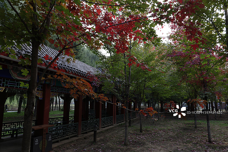 吉林北山公园，红叶，湖，九龙山，图片素材