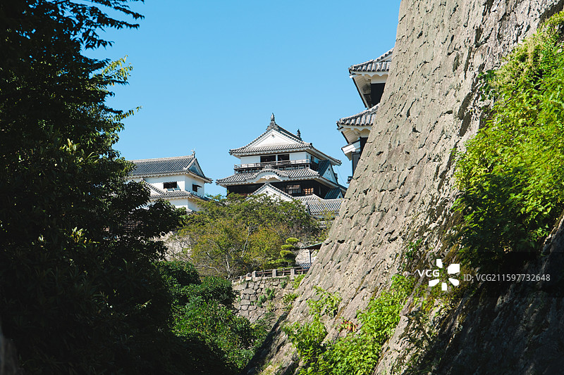 日本爱媛县松山市，松山城的天守阁与石垣图片素材