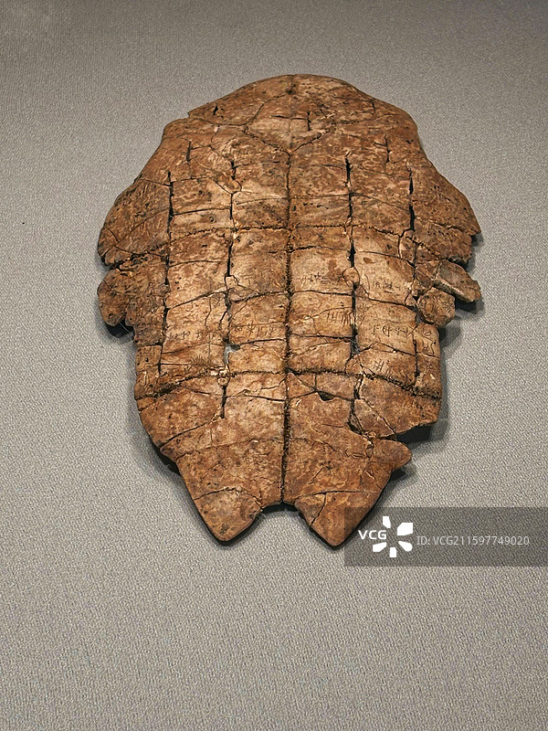 中国社会科学院考古研究所藏商代刻辞卜甲图片素材