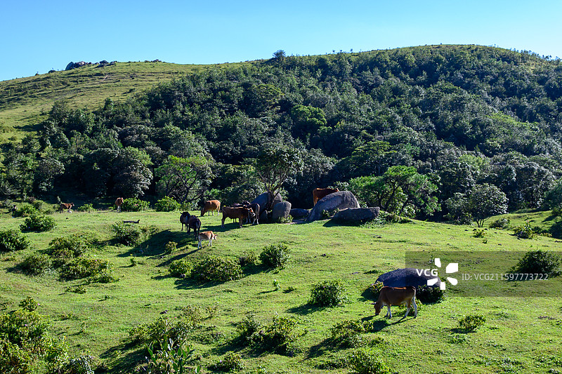 云浮市罗定八排山图片素材