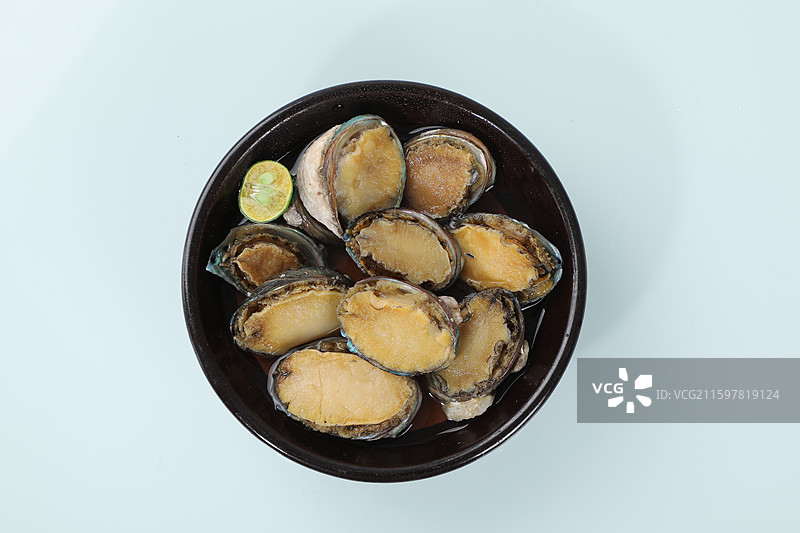 东海鲍鱼图片素材
