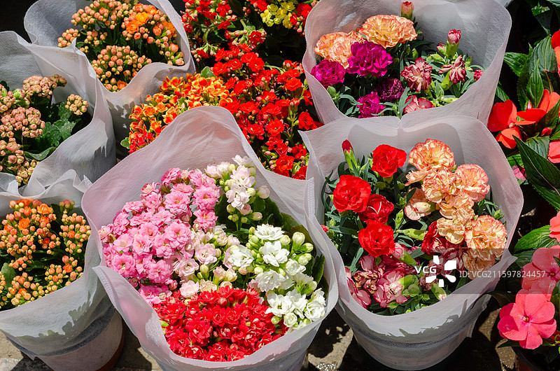 色彩缤纷的成束鲜花图片素材