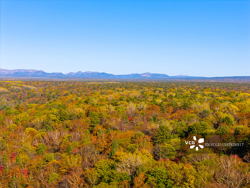 秋天航拍远望长白山天池山峰和森林彩树风光图片素材