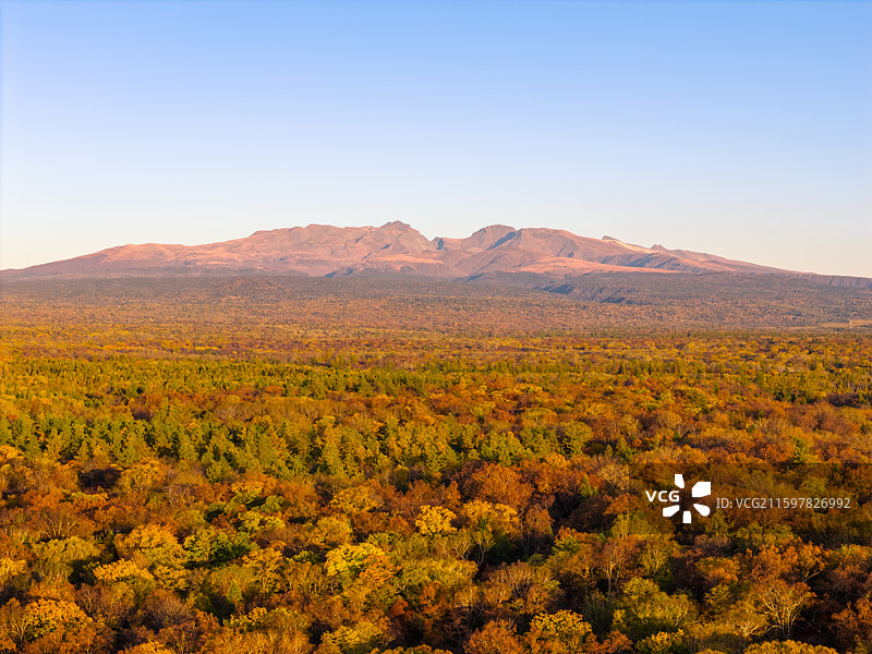 航拍日落时刻的吉林长白山彩林和远处的天池山峰图片素材
