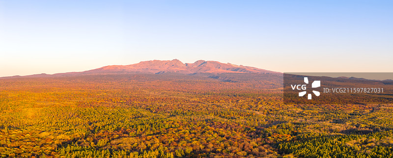 航拍日落时刻的吉林长白山彩林和远处的天池山峰（全景）图片素材