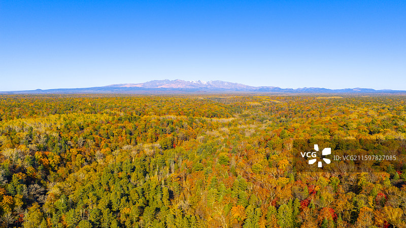 秋天航拍远望长白山天池山峰和森林彩树风光图片素材
