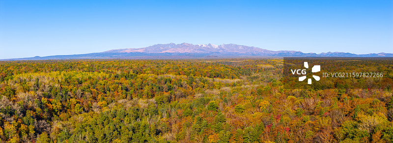 秋天航拍远望长白山天池山峰和森林彩树风光图片素材