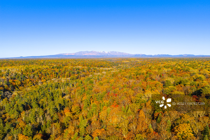 秋天航拍远望长白山天池山峰和森林彩树风光图片素材