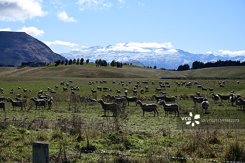 Arrowtown look out新西兰箭镇观看点图片素材