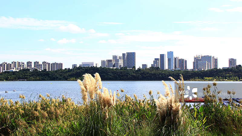 四川天府新区兴隆湖畔秋日自然和建筑风光图片素材