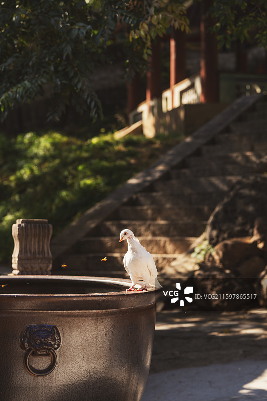 赤峰喀喇沁旗龙泉寺风景图片素材