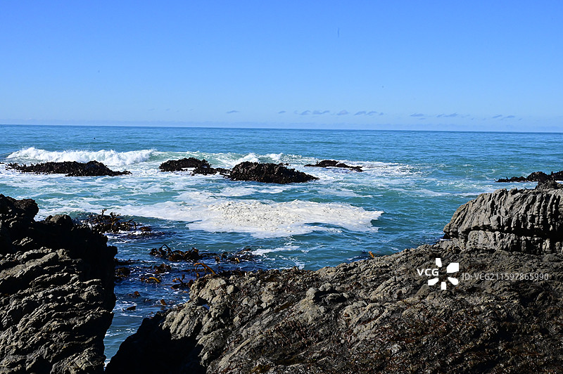 新西兰凯库拉 Kaikura图片素材