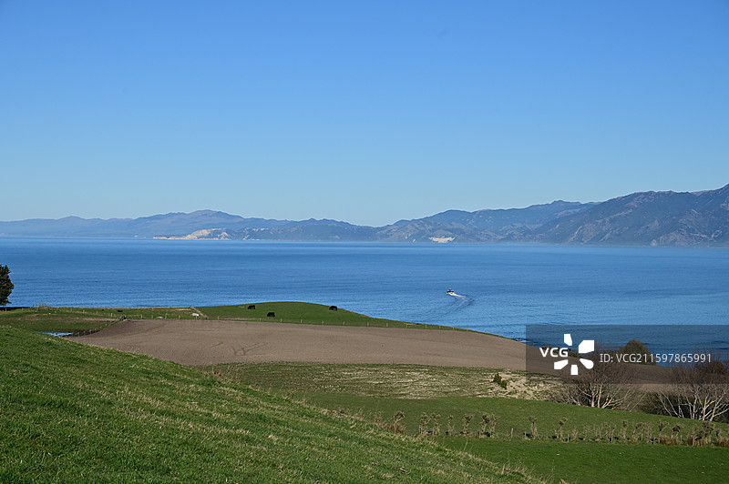 新西兰凯库拉 Kaikura图片素材