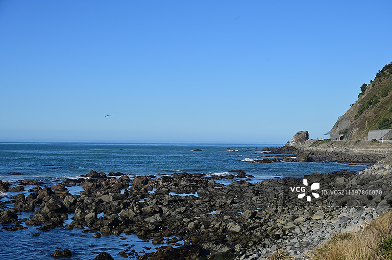 新西兰凯库拉 Kaikura图片素材