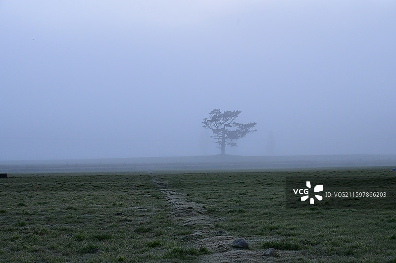 Greymouth新西兰南岛格雷茅斯小镇的晨雾图片素材