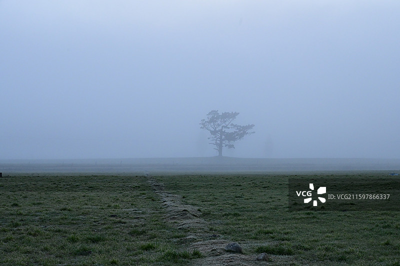 Greymouth新西兰南岛格雷茅斯小镇的晨雾图片素材
