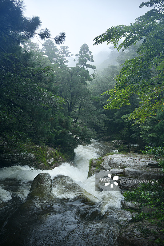 日本鹿儿岛县世界自然遗产屋久岛原石森林图片素材