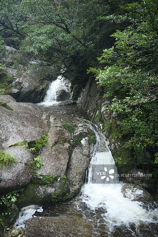 日本鹿儿岛县世界自然遗产屋久岛原石森林图片素材