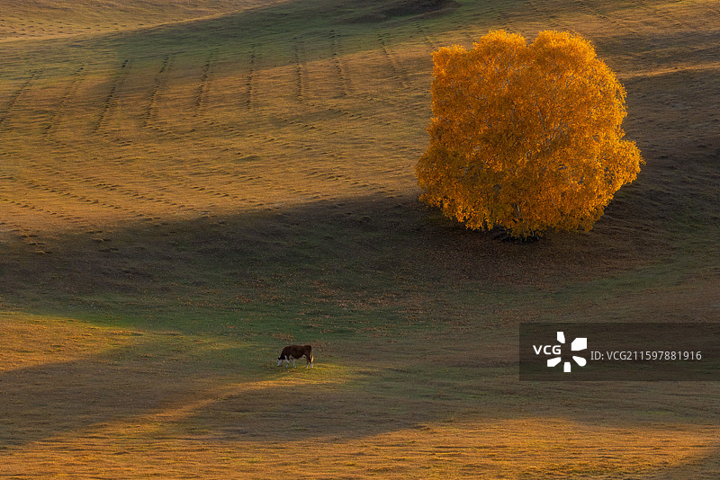 坝上光影图片素材