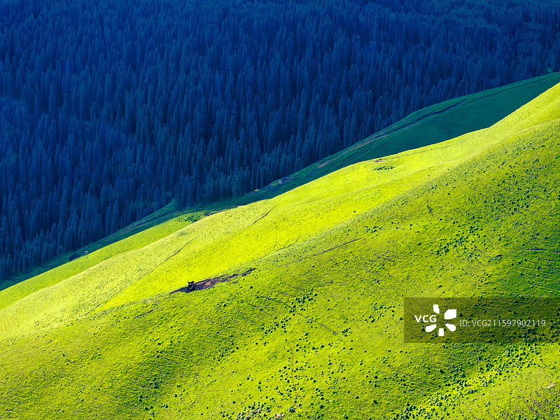 新疆伊犁大峡谷大草原风光图片素材