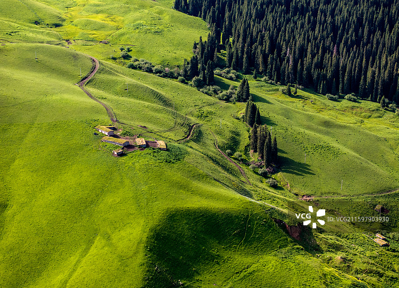 新疆伊犁大峡谷大草原风光图片素材