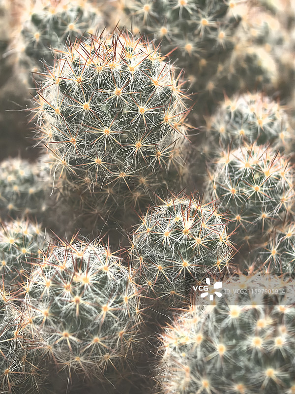 田园秋色随拍图片素材