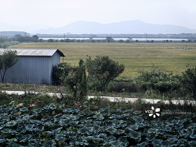 环太湖公路黄昏随拍纪实图片素材
