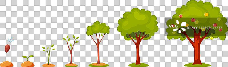 风格化的植物萌发树木的生命周期图片素材