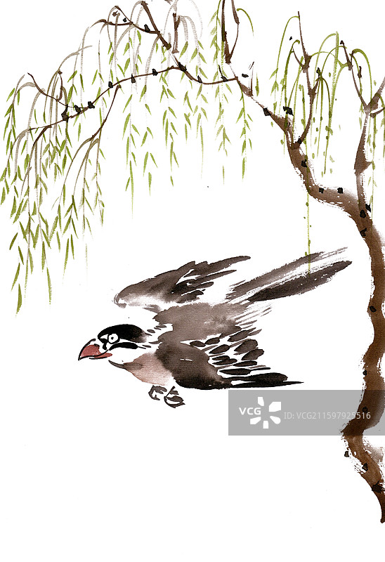 柳枝下的飞鸟图片素材