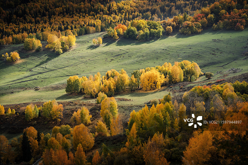 秋日彩林图片素材