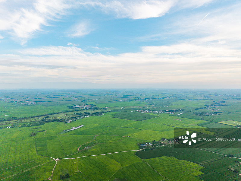 中国吉林省吉林市永吉县万昌镇农场万昌东北大米稻田夏季航拍正上方视角图片素材