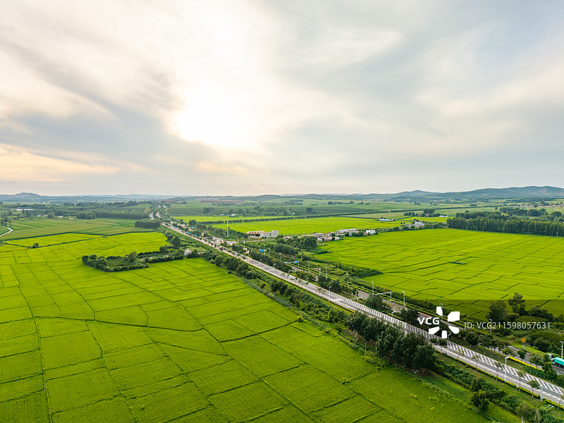 中国吉林省吉林市永吉县万昌镇农场万昌东北大米稻田夏季航拍正上方视角图片素材
