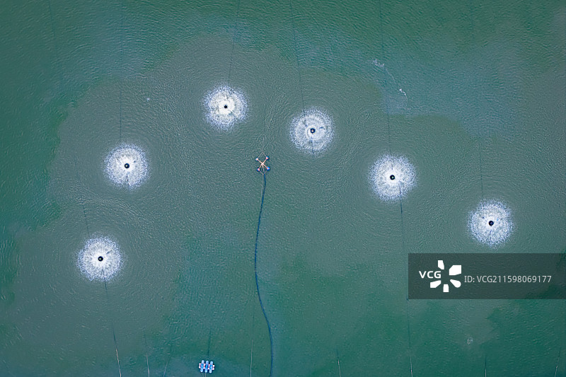 航拍盘锦红海滩湿地围堤格田出水口图片素材