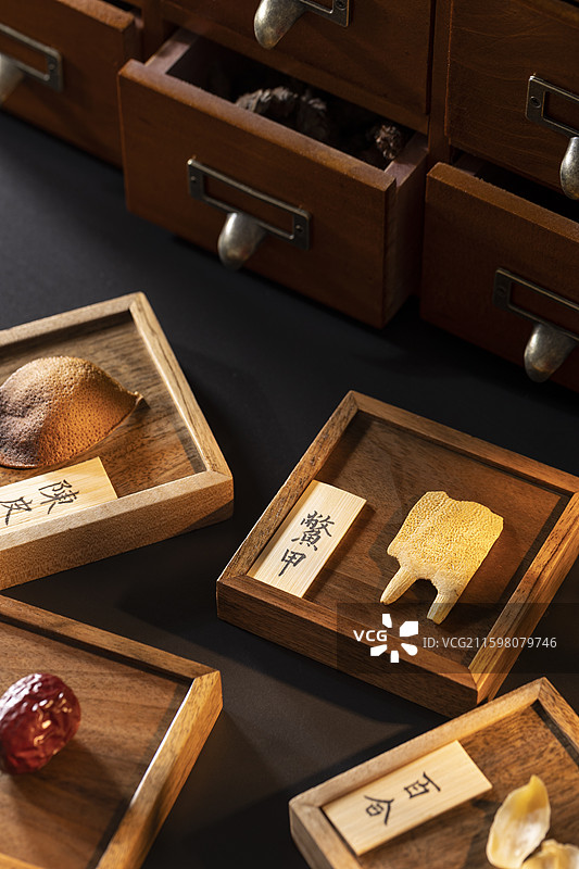 多种中药材：鳖甲、大枣、陈皮和百合干图片素材