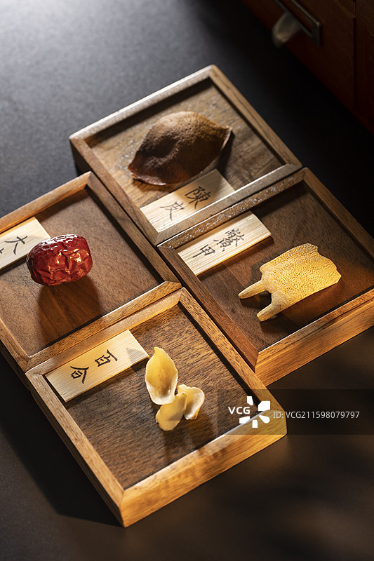 多种中药材：鳖甲、陈皮、百合干和红枣图片素材