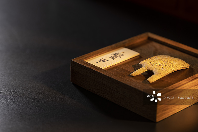 中药材鳖甲图片素材