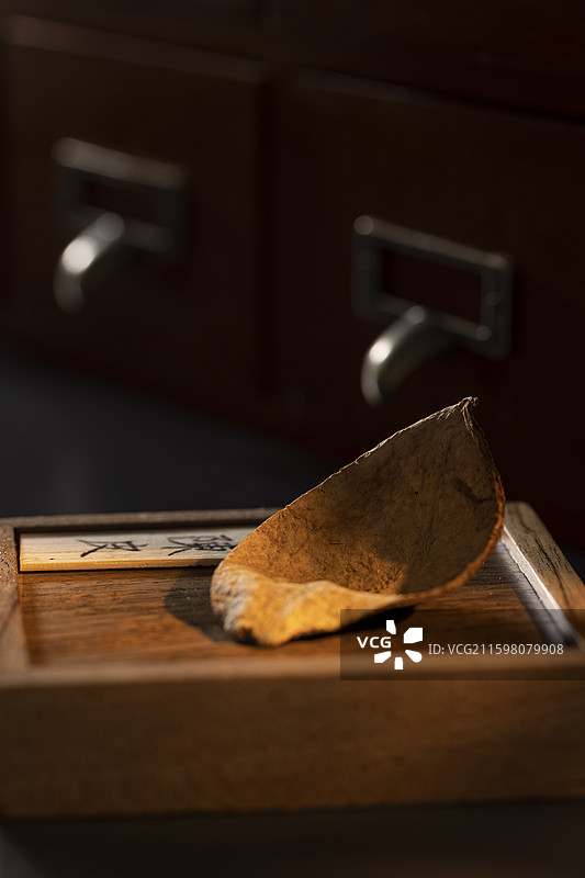 养生食材：陈皮图片素材